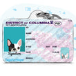 Load image into Gallery viewer, Personalized Pet ID Tag