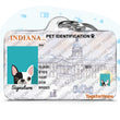 Load image into Gallery viewer, Personalized Pet ID Tag