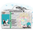 Load image into Gallery viewer, Personalized Pet ID Tag