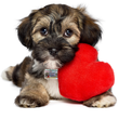 Load image into Gallery viewer, Personalized Pet ID Tag